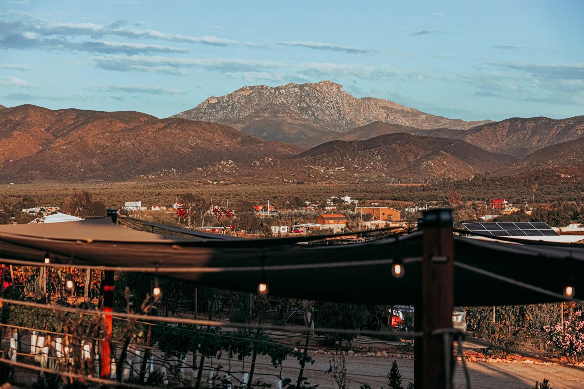 El Porvenir Villa Loar, Valle De Guadalupe מראה חיצוני תמונה