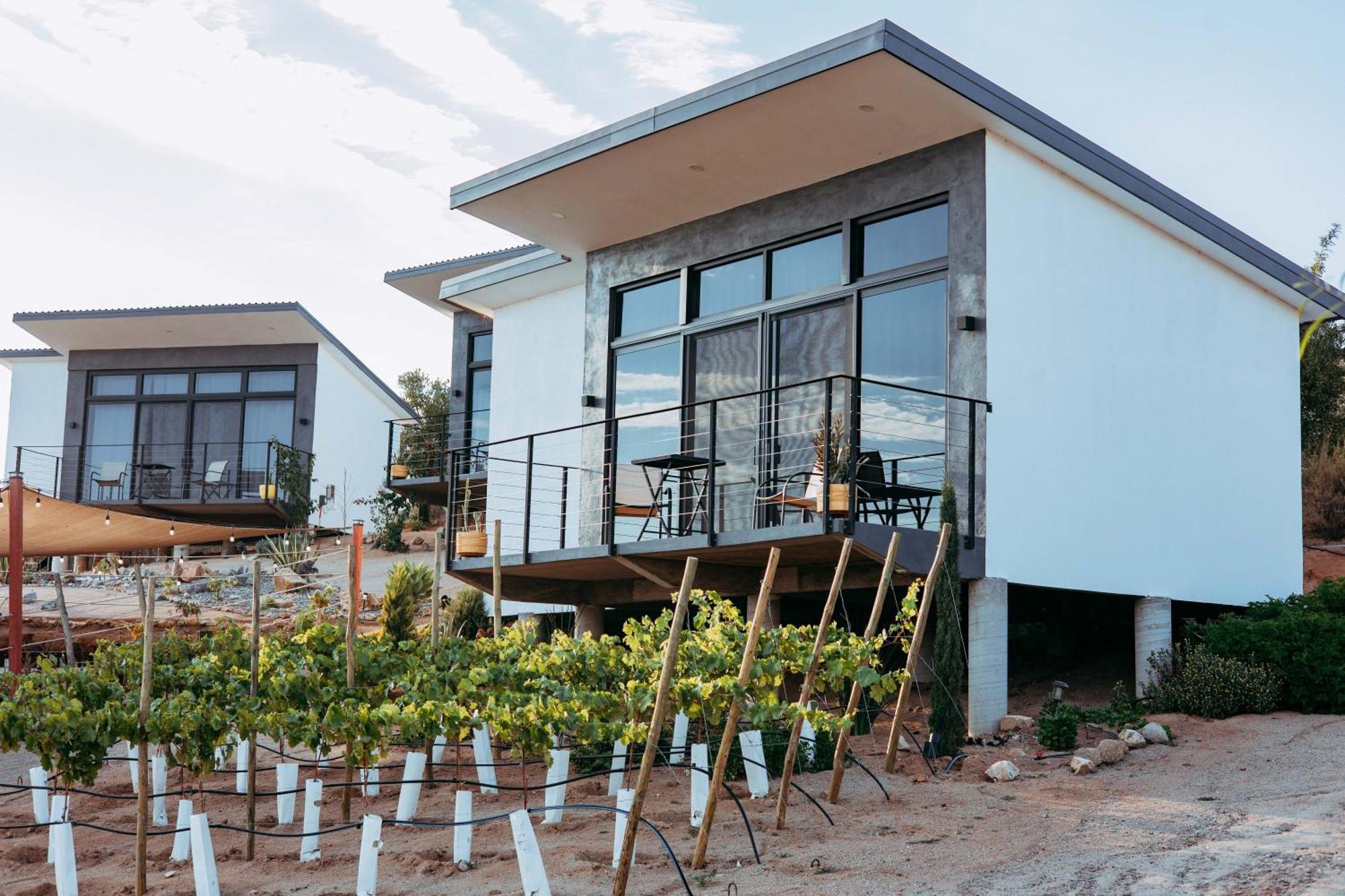 El Porvenir Villa Loar, Valle De Guadalupe מראה חיצוני תמונה