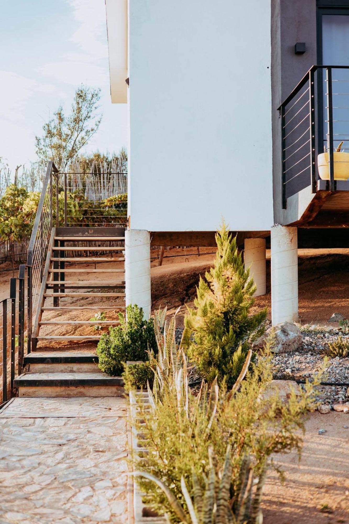 El Porvenir Villa Loar, Valle De Guadalupe מראה חיצוני תמונה